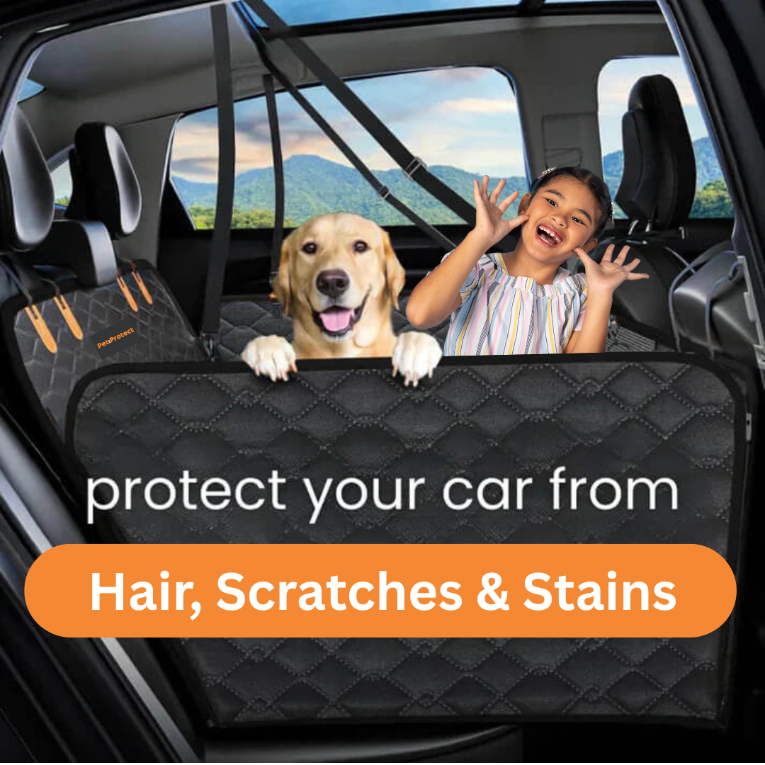 Dog Car Seat Protector