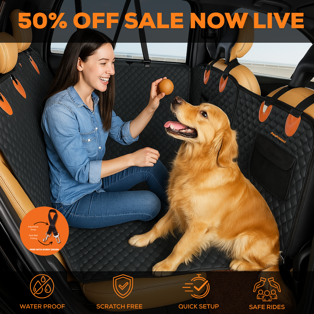 Dog Car Seat Protector